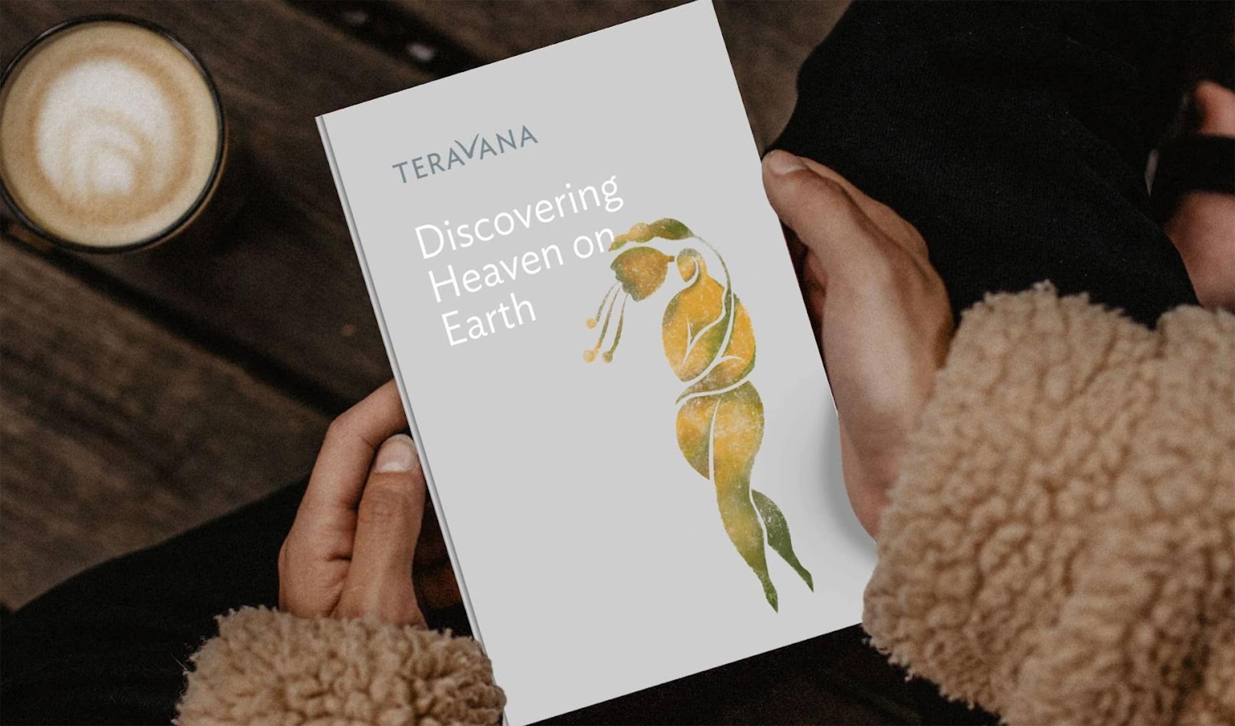 Two Hands Brands - Branding Project for Teravana - Visual Identity